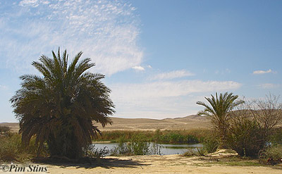 Yeruham reservoir