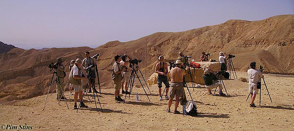Watching raptors migration at Eilat Mountains 